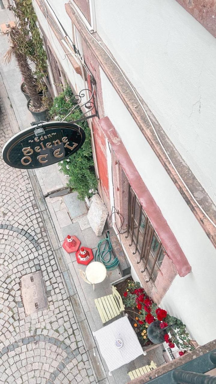 Eden Selene Hotel Ayvalı Zewnętrze zdjęcie
