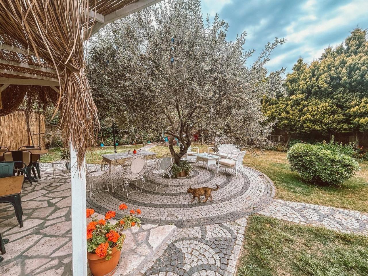 Eden Selene Hotel Ayvalı Zewnętrze zdjęcie