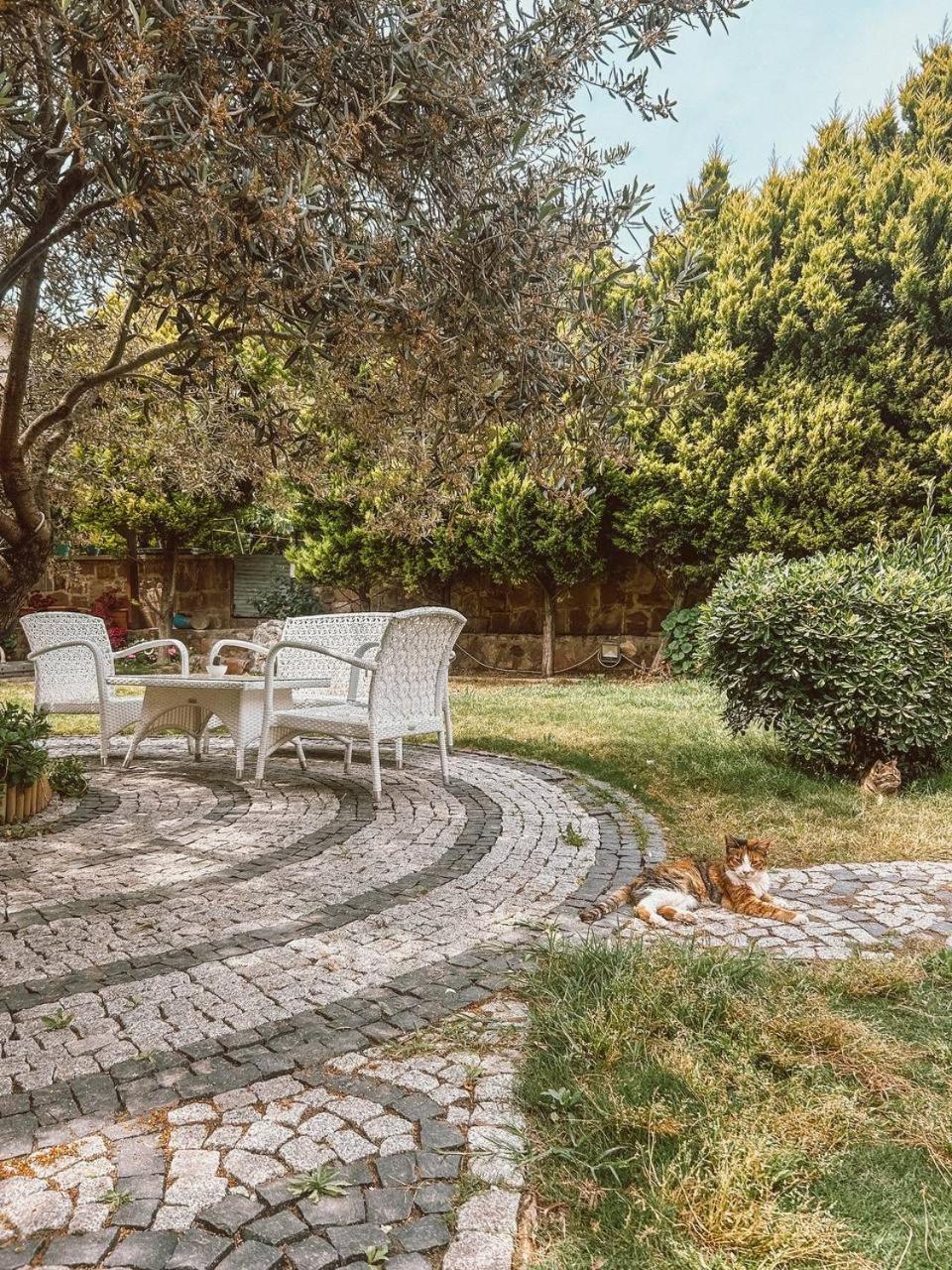 Eden Selene Hotel Ayvalı Zewnętrze zdjęcie