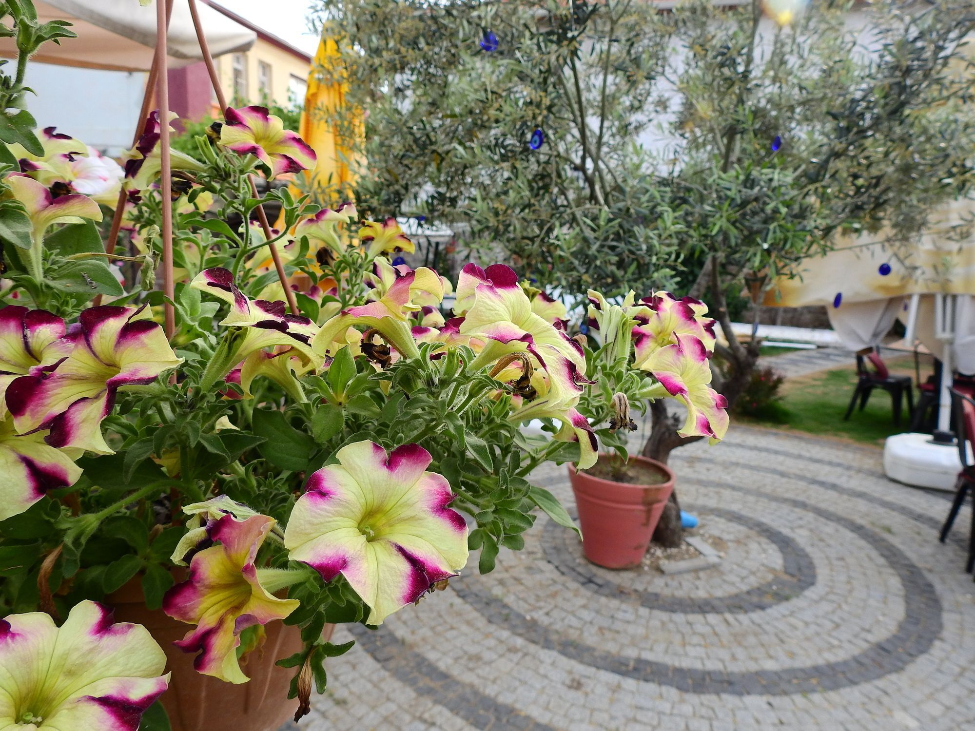 Eden Selene Hotel Ayvalı Zewnętrze zdjęcie